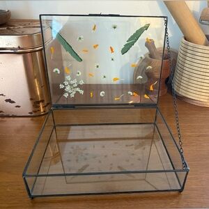 Pottery Barn Glass Shadow Box